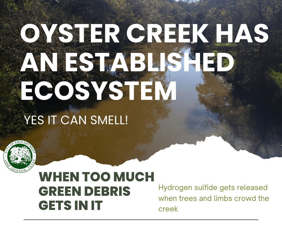 oyster creek can smell 