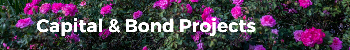 Capital Projects
