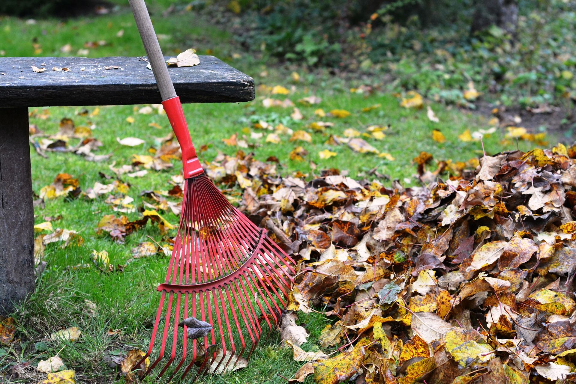 rake-gb025b35c1_1920